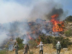 Environmental NGOs to be provided with insurance coverage