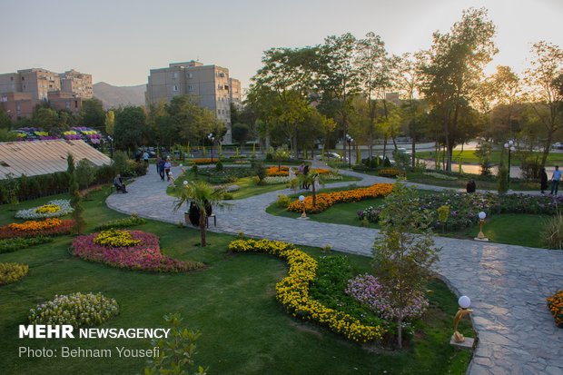 Arak hosts seasonal flowers exhibition 