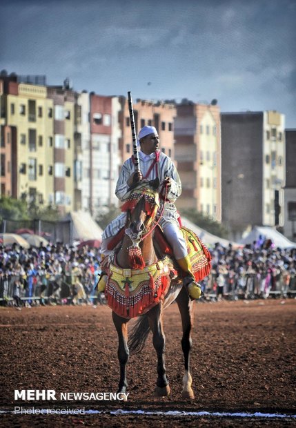 مسابقه نشنال جغرافیک عکاسان عرب
