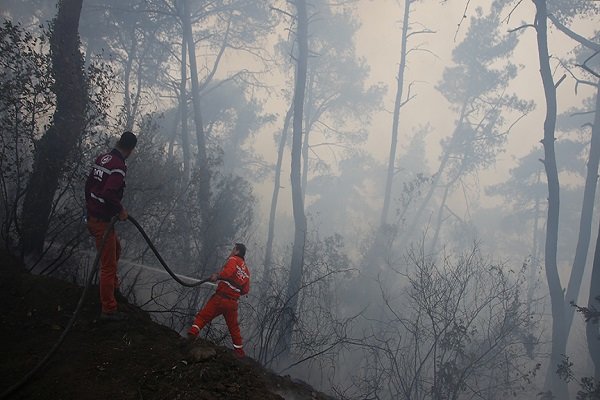 Hatay'da orman yangını