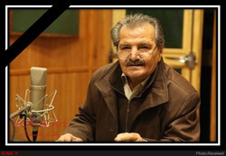 Voice actor Mehdi Arian-nejad in an undated photo