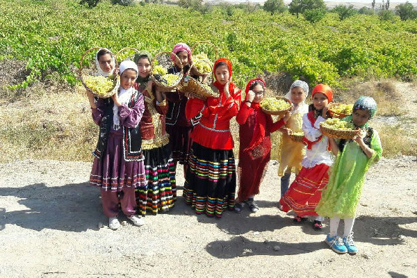 Grape Festival in Markazi province