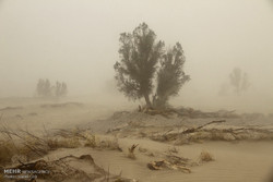 Sand and dust storm in Zabol, Sistan-Balouchestan province