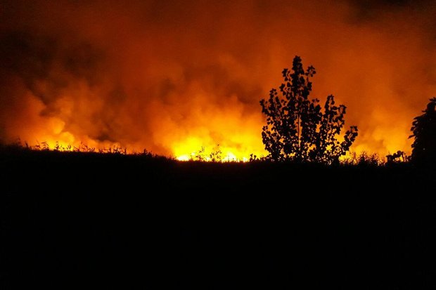 آتش‌سوزی گسترده در جنگل‌ها و مراتع حاشیه تالاب‌های ولیعصر پلدختر