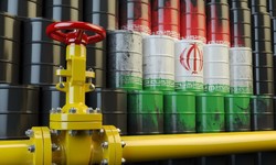 India to keep buying Iranian oil despite US sanctions
