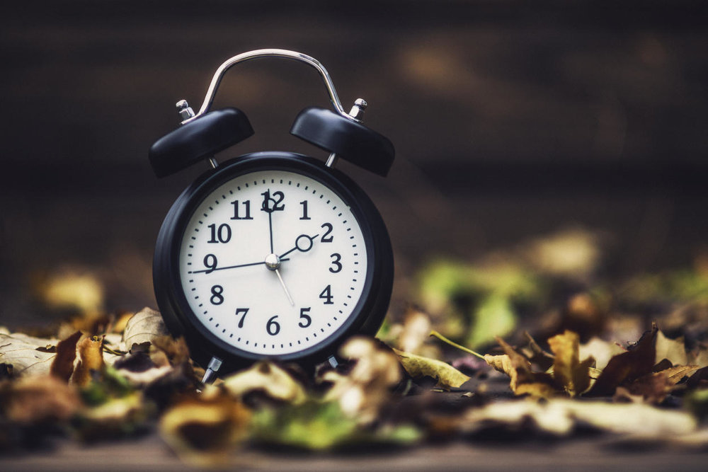 daylight savings time 2018 fall back november 4