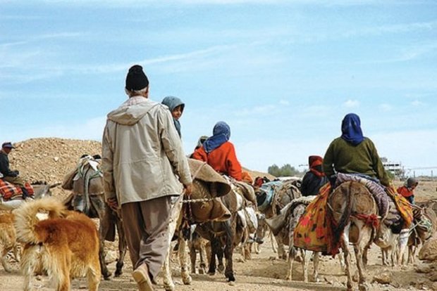 کوچ ۳۳۰۰ خانوار عشایر به مناطق قشلاقی در استان بوشهر