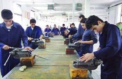 دوره‌های مهارتی در استان بوشهر تقویت می‌شود