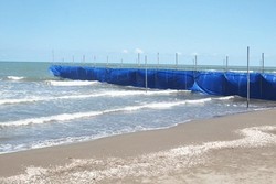 سازمان عمران ساحل راه اندازی شود/ وجود ۷۲ طرح سالمسازی دریا