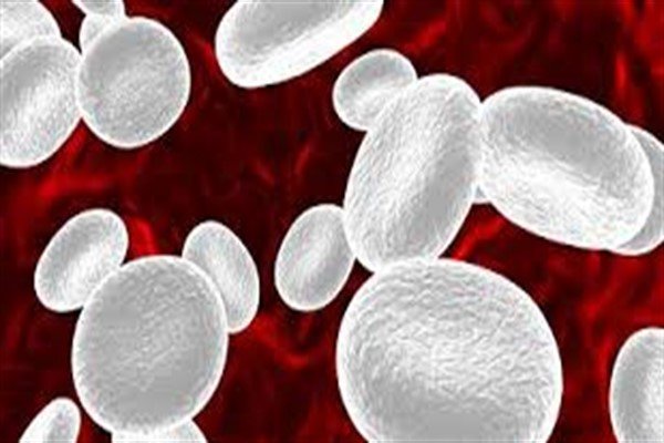 میزان پایین سلول های اصلی خون نشانه خطر بالای مرگ