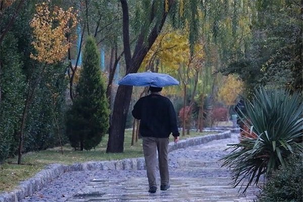امسال وضعیت بارش باران در استان بوشهر مطلوب پیش‌بینی می‌شود