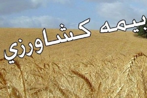 کشاورزان آذربایجان‌غربی بیمه محصول‌های کشاورزی را جدی بگیرند
