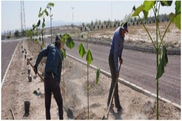 استفاده از مخزن گرمابه قدیمی صالحیه برای آبیاری ۲بوستان این شهر