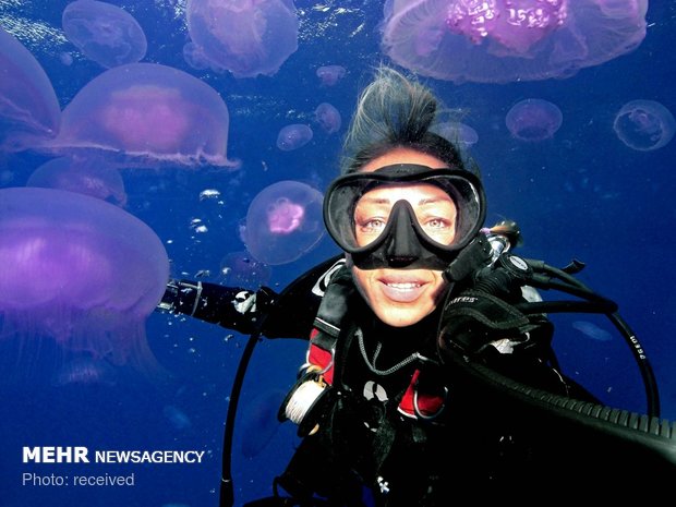 سلفی های ماجراجویانه‎