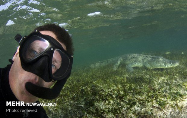 سلفی های ماجراجویانه‎