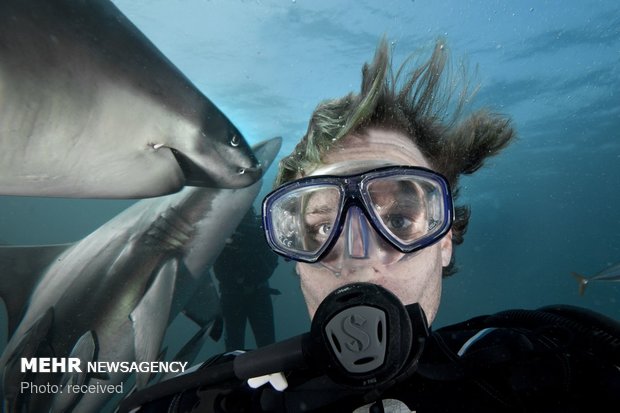 سلفی های ماجراجویانه‎