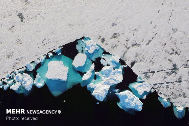 تاثیر گرم شدن زمین بر یخ های قطبی‎