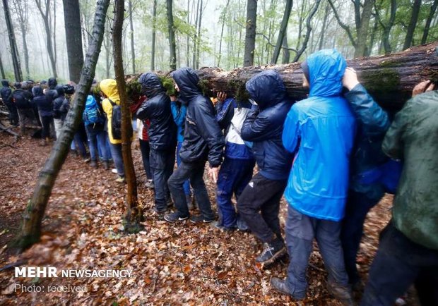 اعتراض به تخریب جنگل در آلمان‎
