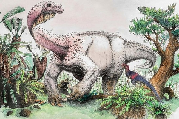 یکی از بزرگترین دایناسورهای جهان شناسایی شد