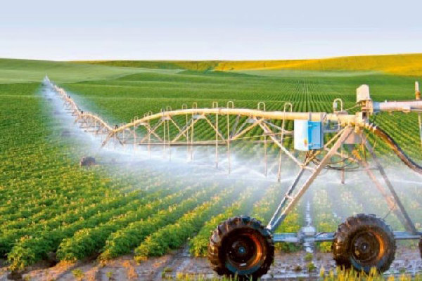 ۸۰ درصد آب منابع کردستان در بخش کشاورزی مصرف می شود