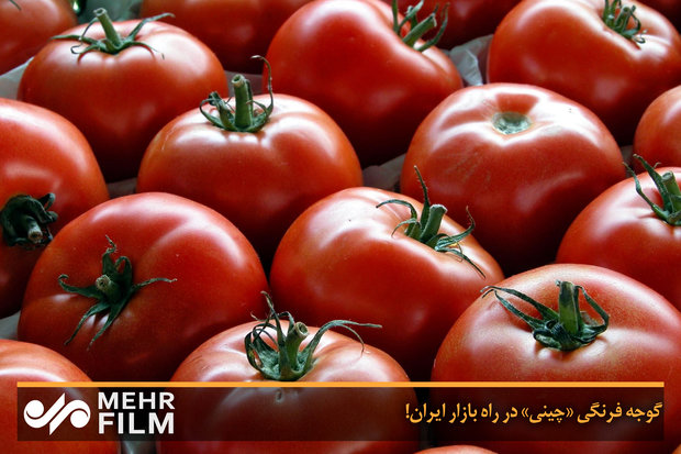فلم/ چينی ٹماٹر ایران کے بازار میں پہنچ گئے
