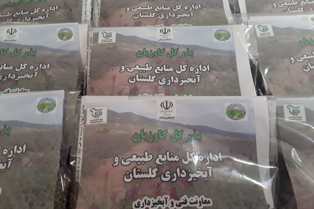 کشت گیاهان دارویی در ۱۲ روستای حاشیه جنگل گرگان آموزش داده شد