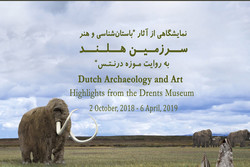 ۹۶۰هزار یورو درآمد موزه هلند از نمایشگاه ایران