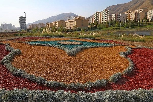 چیپس درختی به جای چمن‌کاری برای اولین بار در غرب تهران 