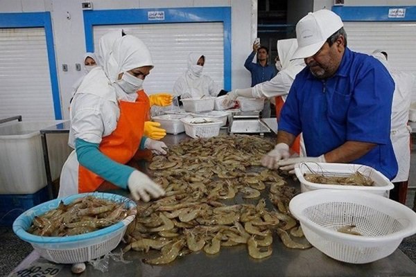 Exports of aquatic animals at 20% growth in H1