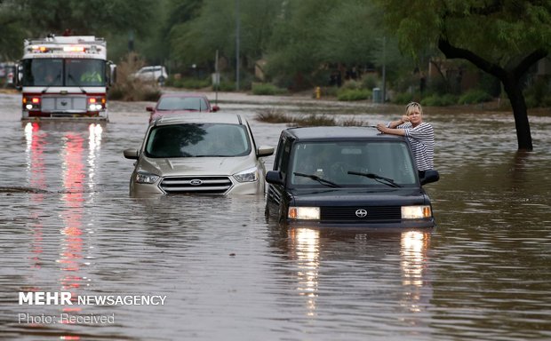طوفان رزا در آمریکا