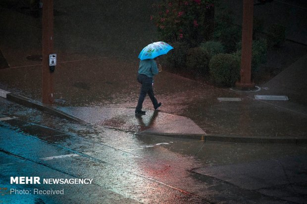 طوفان رزا در آمریکا