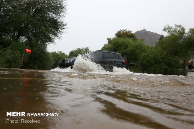 طوفان رزا در آمریکا