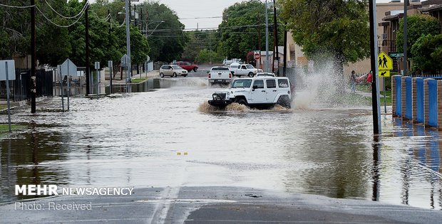 طوفان رزا در آمریکا