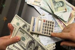 Reactions to rial rally in FOREX Market
