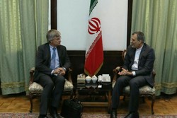 Iranian, Swedish diplomats discuss Yemen crisis