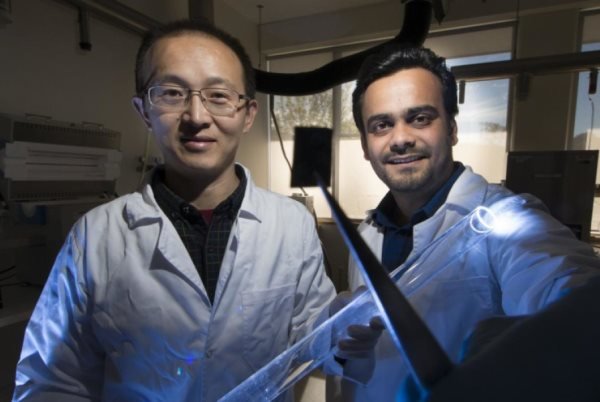 تسهیل تولید موبایل تاشو با نیمه رسانایی از مواد ارگانیک 