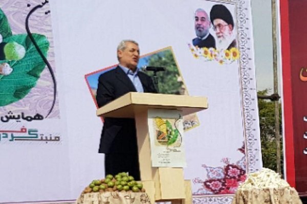 صنایع تبدیلی گردو توسعه یابد/برندسازی لازمه رونق گردشگری است
