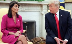Trump-Hailey