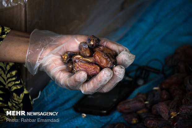 Employment to boom in Hajiabad with start of harvesting ‘Piarom’ date 