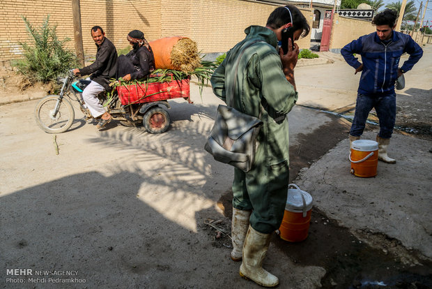 واکسیناسیون تب برفکی در روستای الباجی