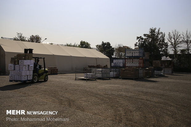 Dispatching pharmaceuticals to Iraq for Arbaeen 