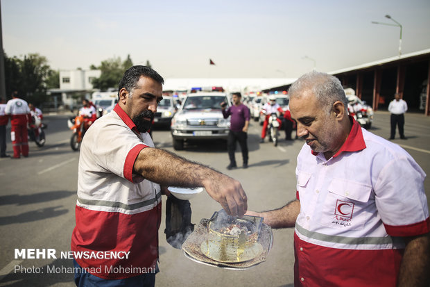Dispatching pharmaceuticals to Iraq for Arbaeen 