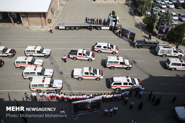 Dispatching pharmaceuticals to Iraq for Arbaeen 