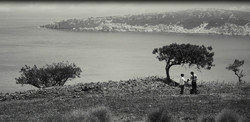 “It Rains Slowly” by director Saeid Nejati.