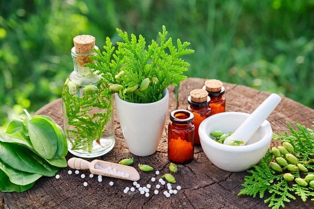 Iran signs $7mn deals on herbal medicines with Uganda, Kenya