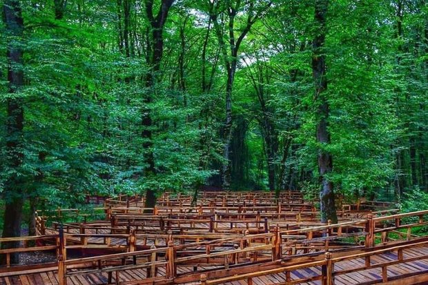 جاده رویایی در دل طبیعت/ پیاده راه النگدره در پاییز می‌درخشد