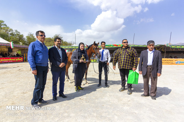 نخستین جشنواره ملی اسب دره شوری
