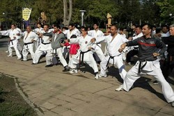 همایش بزرگ جامعه کاراته گیلان برگزار شد