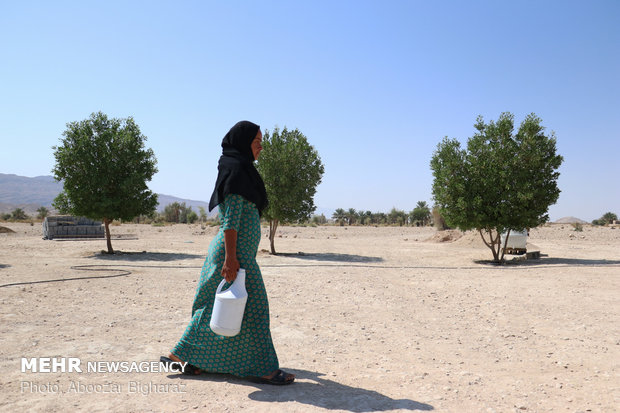 انسیه مبتلا به بیماری سندروم داون