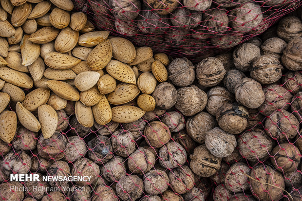 Grape Festival in Markazi province